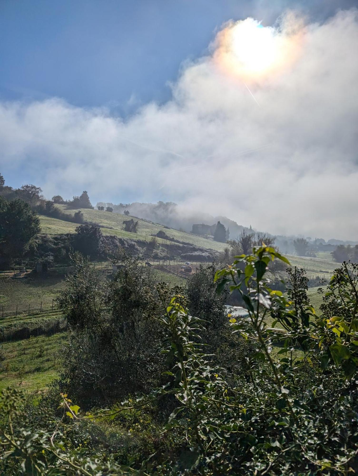 Molezzano Villa Poggio Bartoli מראה חיצוני תמונה
