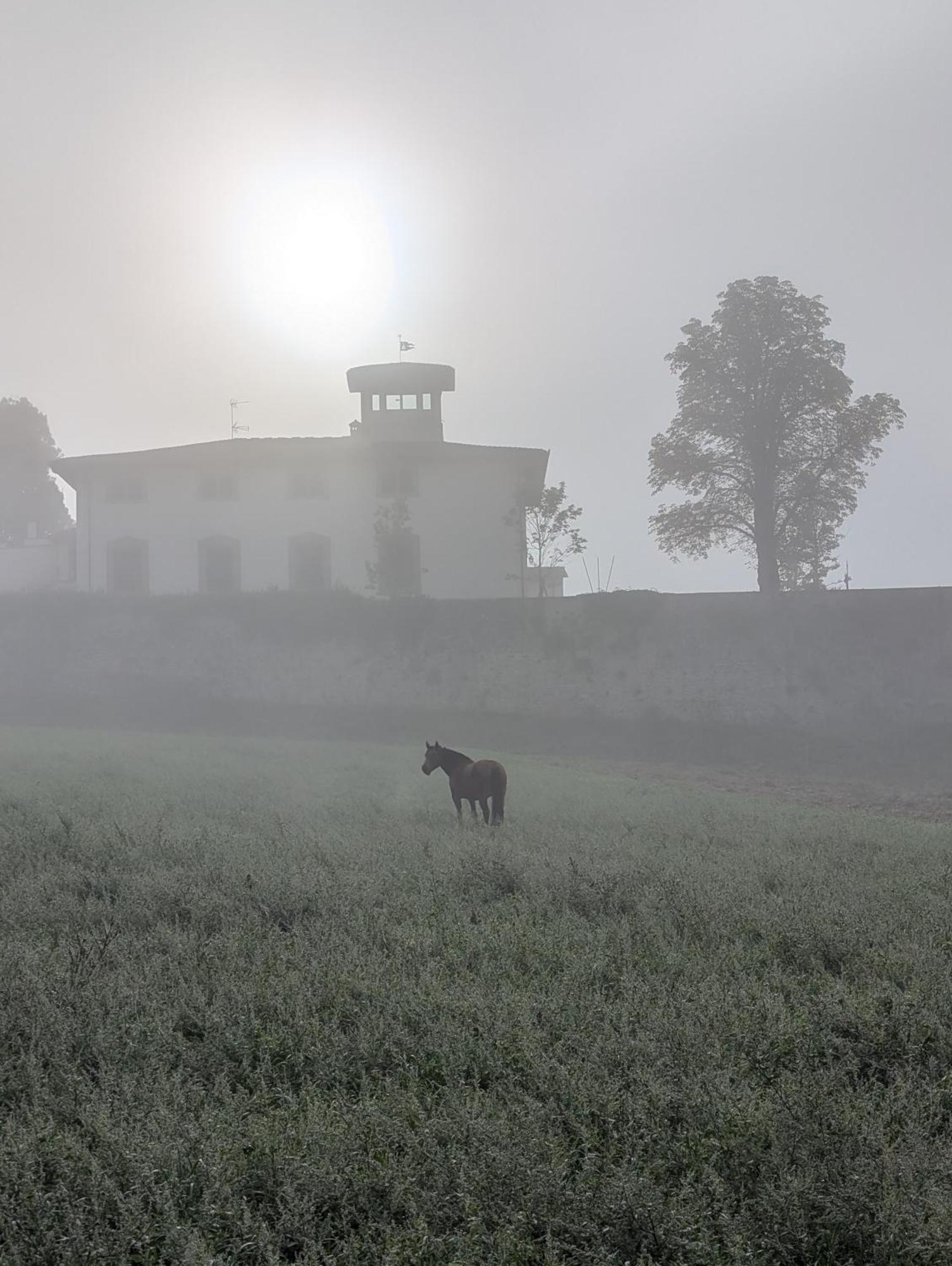 Molezzano Villa Poggio Bartoli מראה חיצוני תמונה